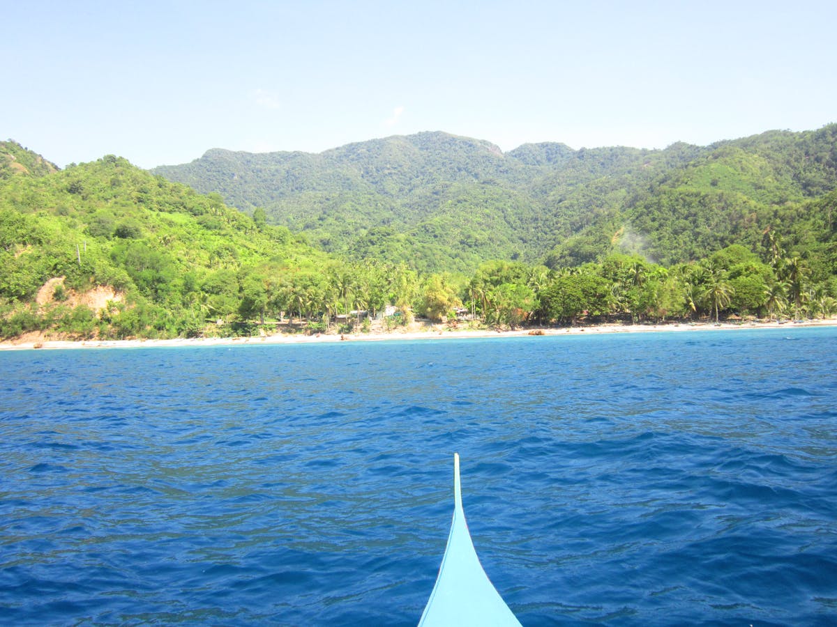 随时随地下单与便捷支付